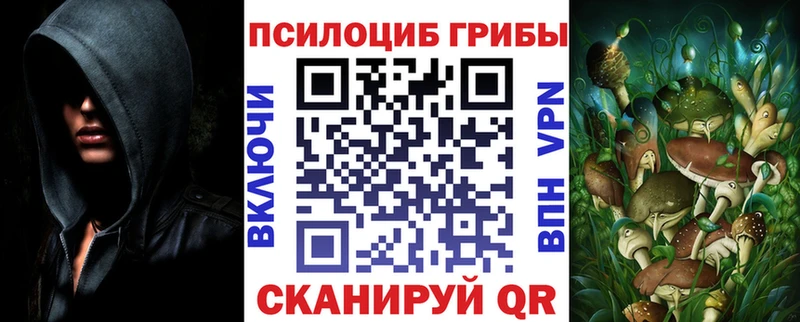 где можно купить Кондрово Галлюциногенные грибы MAGIC MUSHROOMS